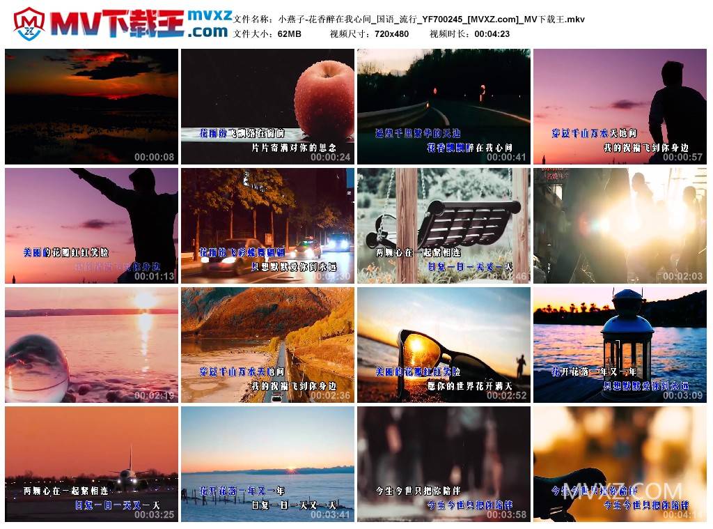 小燕子-花香醉在我心间_国语_流行_YF700245